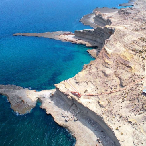 Imágenes de Península Valdés, tour de día completo