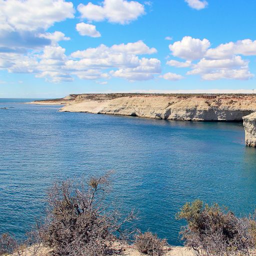 Imágenes de Lobería Punta Loma