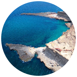 Excursión a peninsula valdés