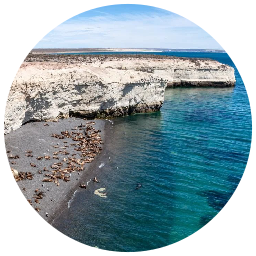 Excursión a punta loma